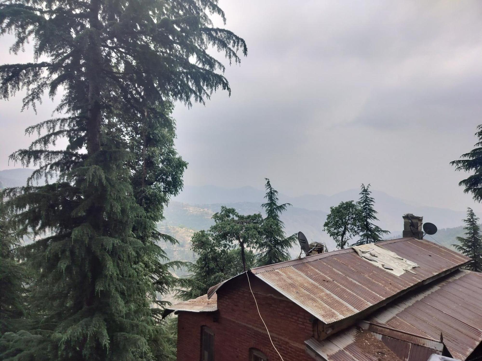 Tree Valley Homestay チェイル エクステリア 写真